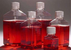 紅細胞聚糖 紅細胞聚糖