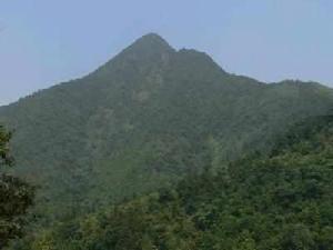 廣東鬱南同樂大山省級自然保護區 廣東鬱南同樂大山省級自然保護區