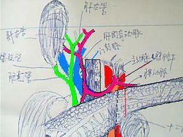 第一肝門 第一肝門