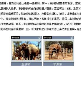 非洲象和亞洲象的不同