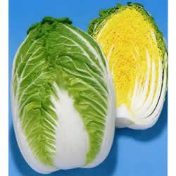 夏福2號 夏福2號