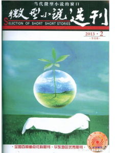 微型小說選刊 微型小說選刊