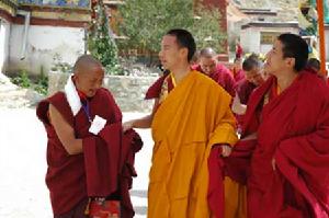 導演鏡頭中的西藏一年