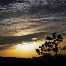 暮色蒼茫 暮色蒼茫