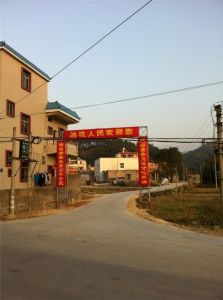 螺溪鎮[廣東省汕尾市陸河縣]