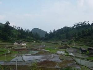後垟村[浙江省麗水市雲和縣雲豐鄉後垟村]