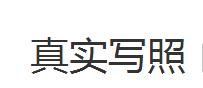 真實寫照 真實寫照
