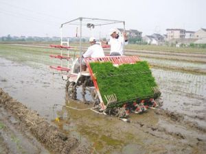 水稻插秧機