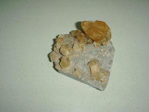 物標本方 物標本方