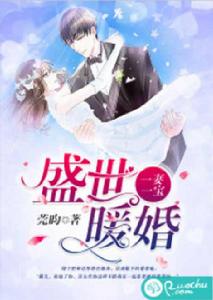 盛世暖婚:一妻一寶 盛世暖婚:一妻一寶
