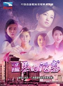 溫柔的誘惑[張族權導演執導電視劇]