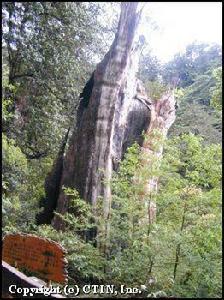 達觀山(拉拉山)自然保護區 達觀山(拉拉山)自然保護區