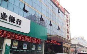 麻城金成大酒店 麻城金成大酒店