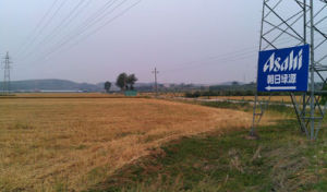 朝日綠源農場 朝日綠源農場