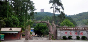 韶關華南虎園 韶關華南虎園