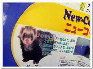 （圖）貂用籠內廁所