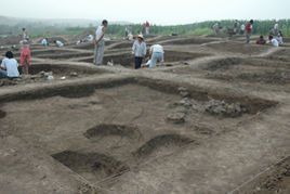 夏家店文化 夏家店文化