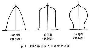 年齡金字塔 年齡金字塔