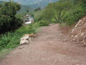 免糧庫自然村 免糧庫自然村