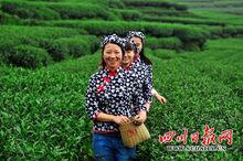 雙河鄉[四川省雅安市雙河鄉]