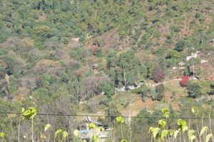 磨斧場村 磨斧場村