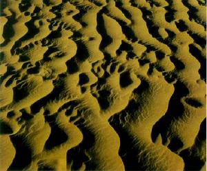 塔克拉瑪乾沙漠腹地