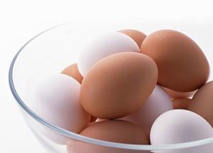 一個雞蛋專項基金 一個雞蛋專項基金