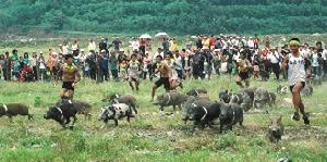 獅子鄉舉辦的台灣國際麻里巴狩獵祭