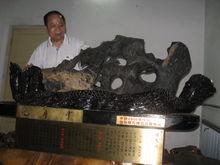 趙華明[四川大學化學學院教授]