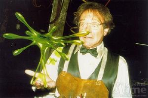 《烏龍博士》 《烏龍博士》