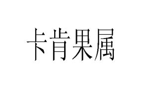 卡肯果屬 卡肯果屬