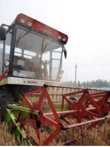 金谷糧食網 金谷糧食網