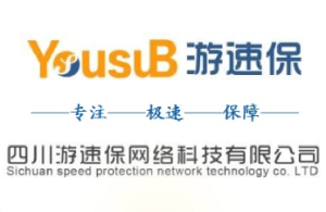 四川游速保網路科技有限公司