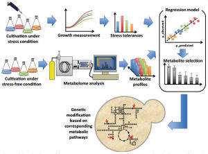 代謝組學 代謝組學