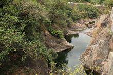 銀瓶山森林公園圖片