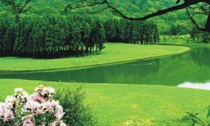 大容山森林公園 