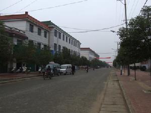 交換型領導行為理論