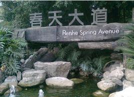 仁和春天大道 仁和春天大道