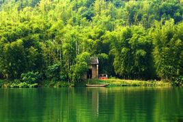 廣寧竹海國家森林公園