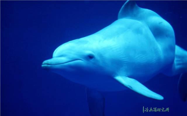 電視劇太假,想要穿越回先秦楚國去看看,那一定不能錯過這些地方 電視劇太假,想要穿越回先秦楚國去看看,那一定不能錯過這些地方