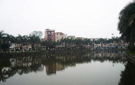 蓮塘村[廣東省廣州市番禺區蓮塘村]