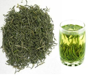 嶽麓毛尖 嶽麓毛尖