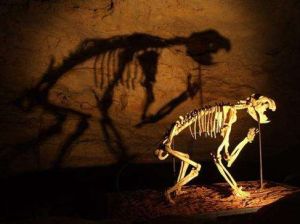 澳大利亞哺乳動物化石遺址