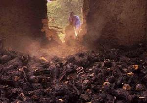 烏干達邪教屠殺近千名信徒