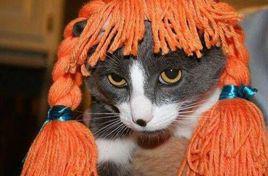 搞笑[漢語詞語]