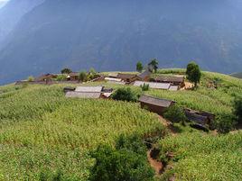 東紅村委會 東紅村委會