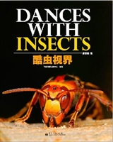 酷蟲視界 酷蟲視界