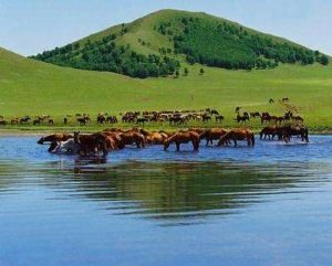 東溝濕地狩獵場 東溝濕地狩獵場