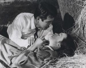 同心草[1959年韓國電影]