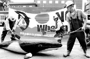 《國際捕鯨管制公約》